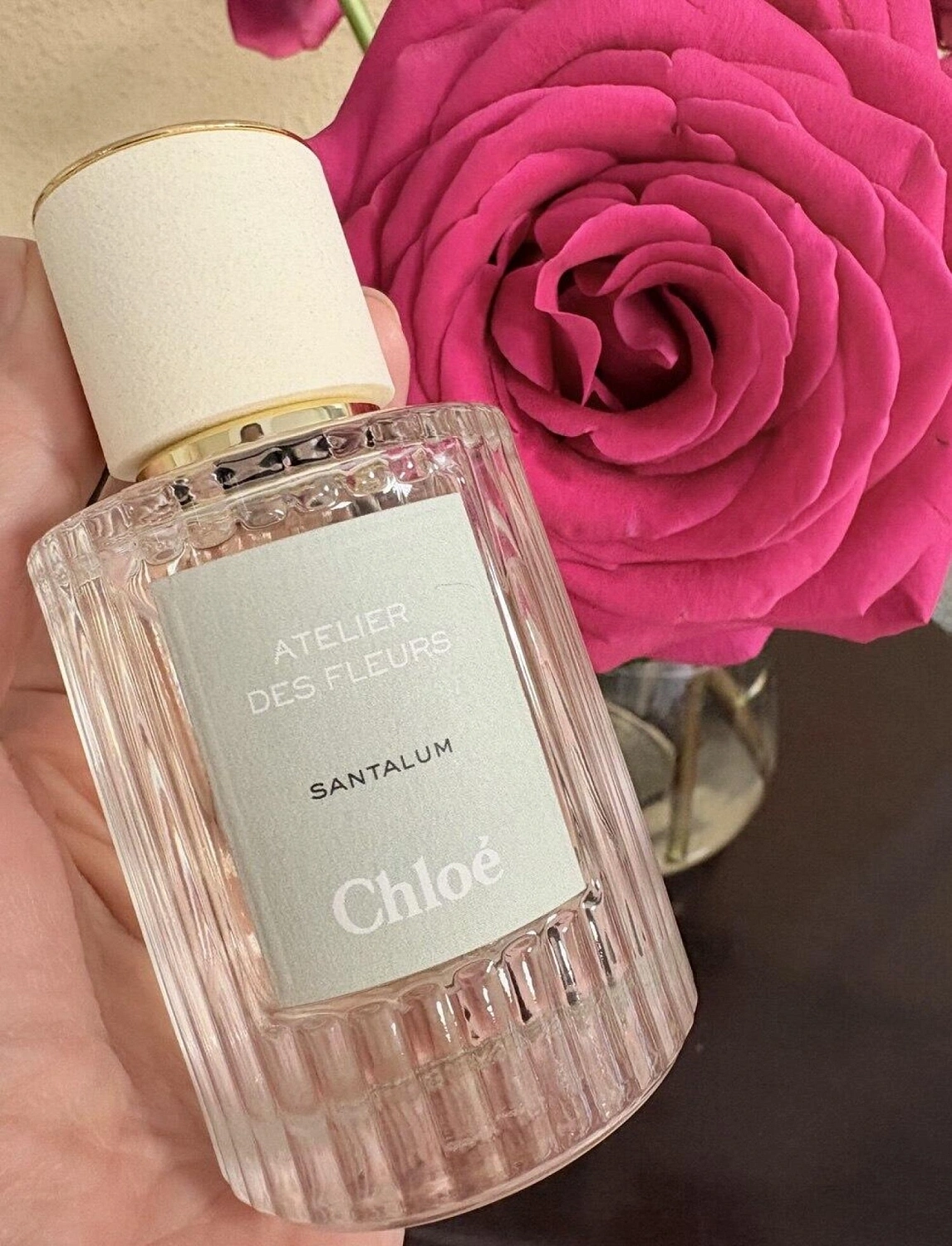 Chloé Santalum