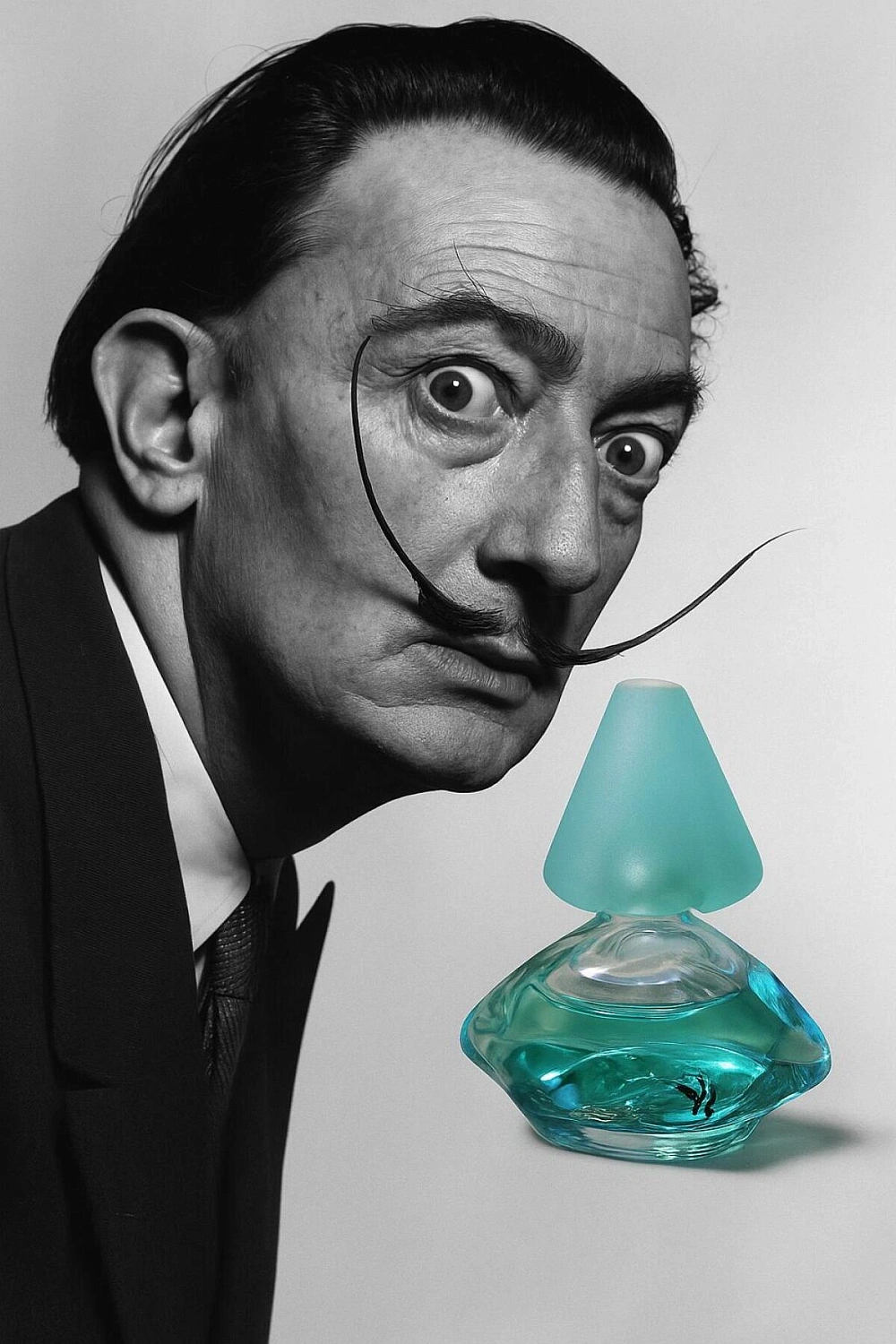 Salvador Dalí Laguna