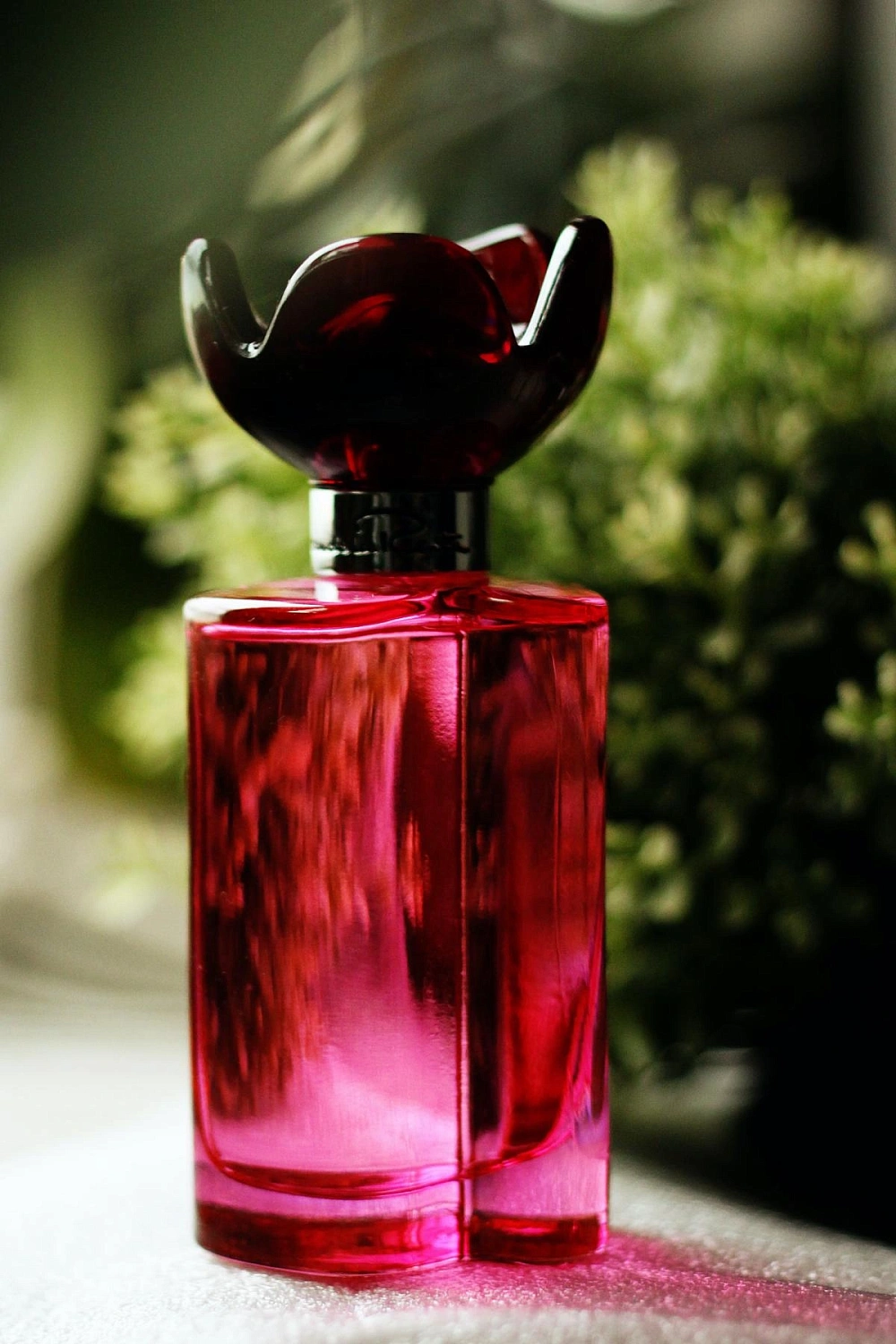 Oscar de la Renta Oscar Rose