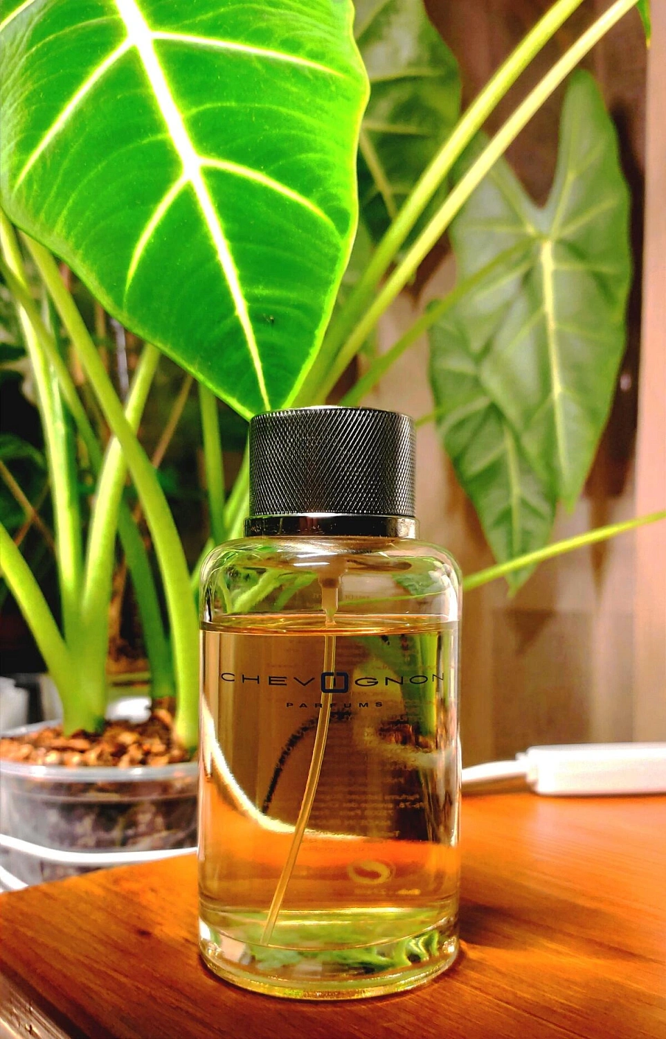 Chevignon Perfumes