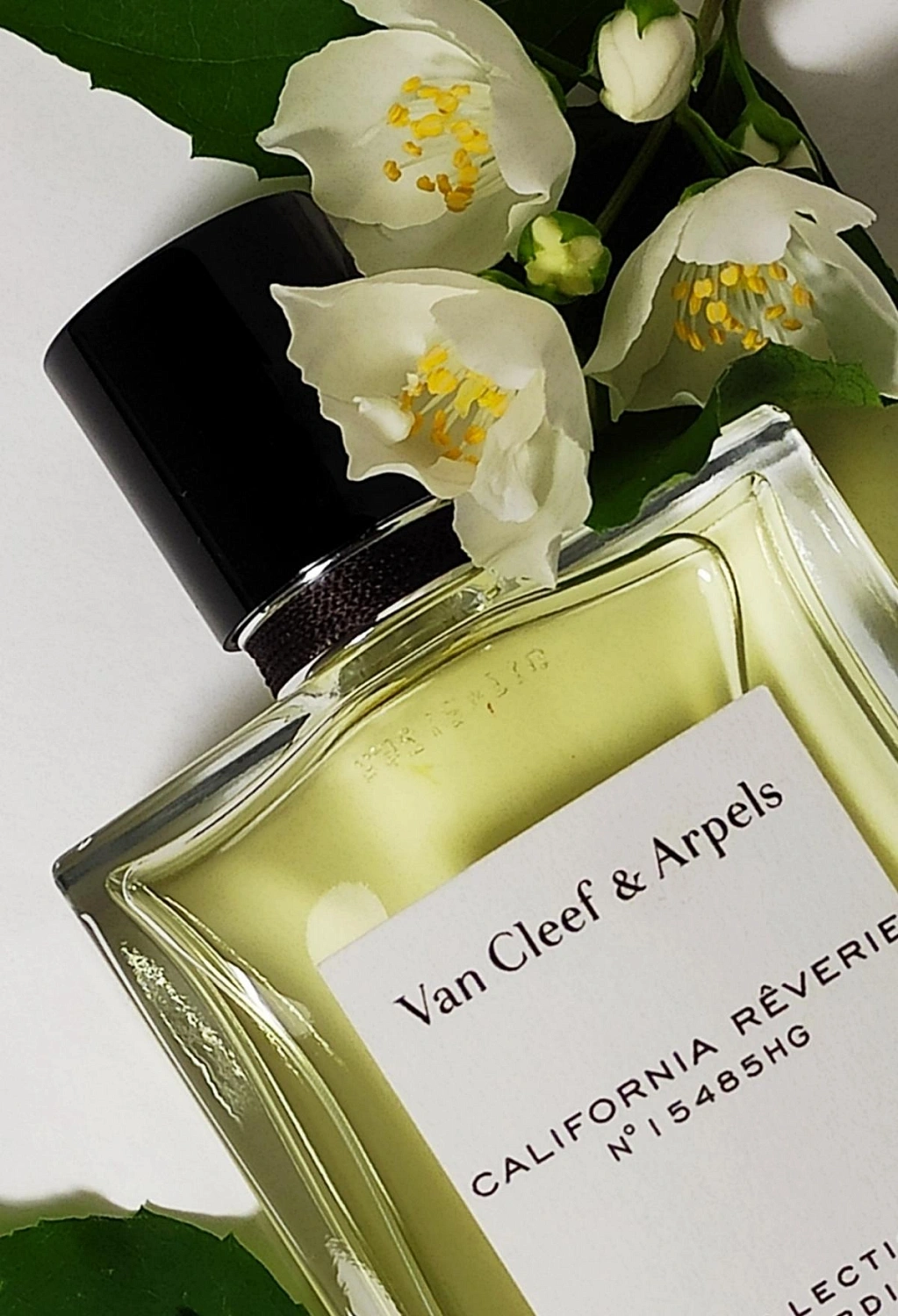 Van Cleef & Arpels Collection Extraordinaire California Reverie
