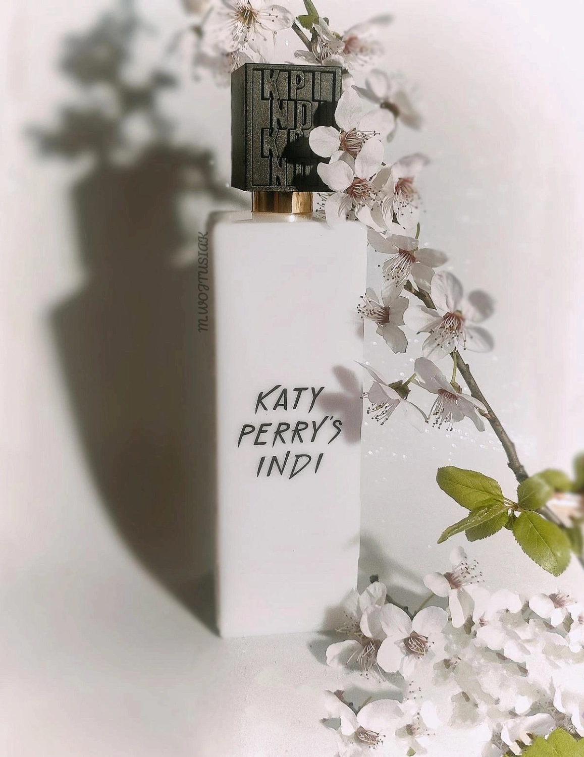 Katy Perry's Indi