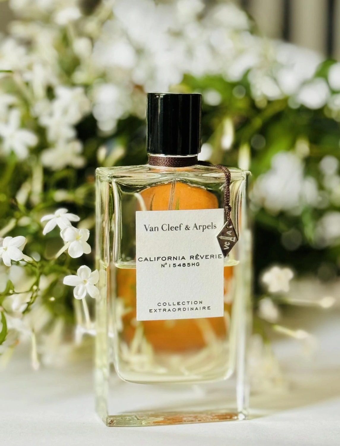 Van Cleef & Arpels Collection Extraordinaire California Reverie