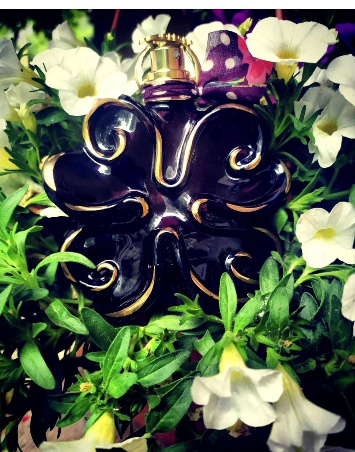 Lolita Lempicka Illusions Noires Si Lolita Eau de Minuit