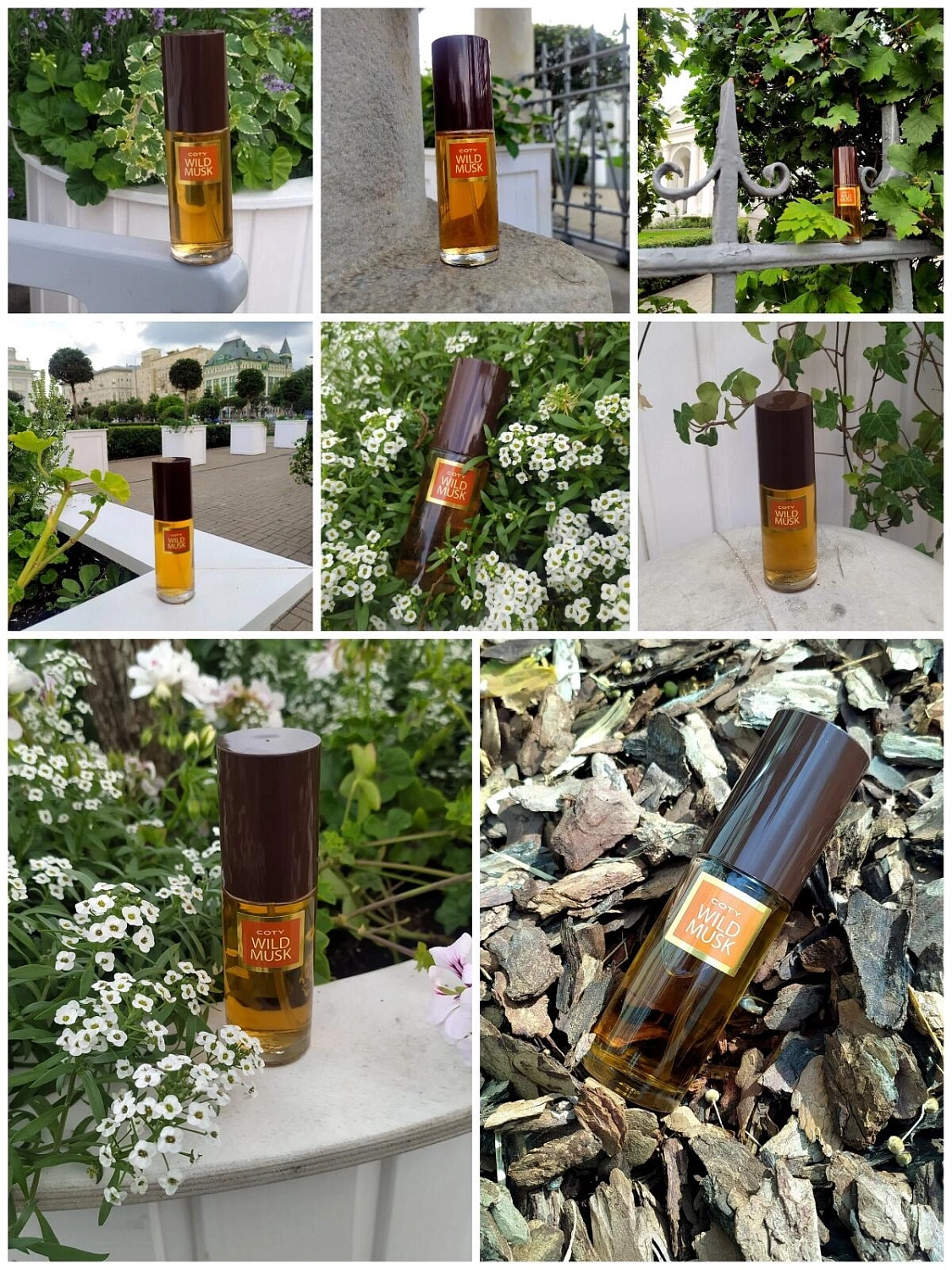 Coty Wild Musk