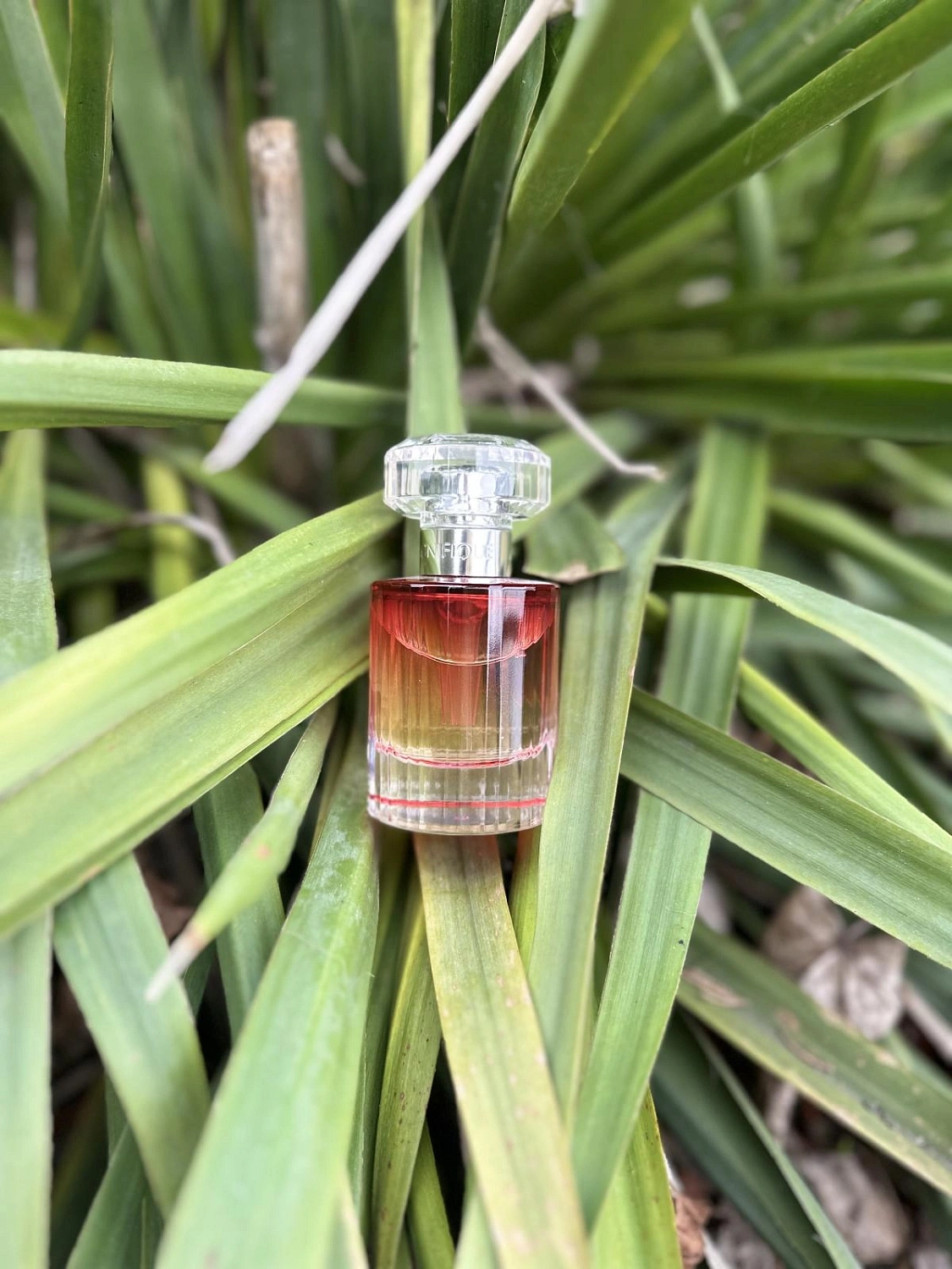 Lancôme Magnifique