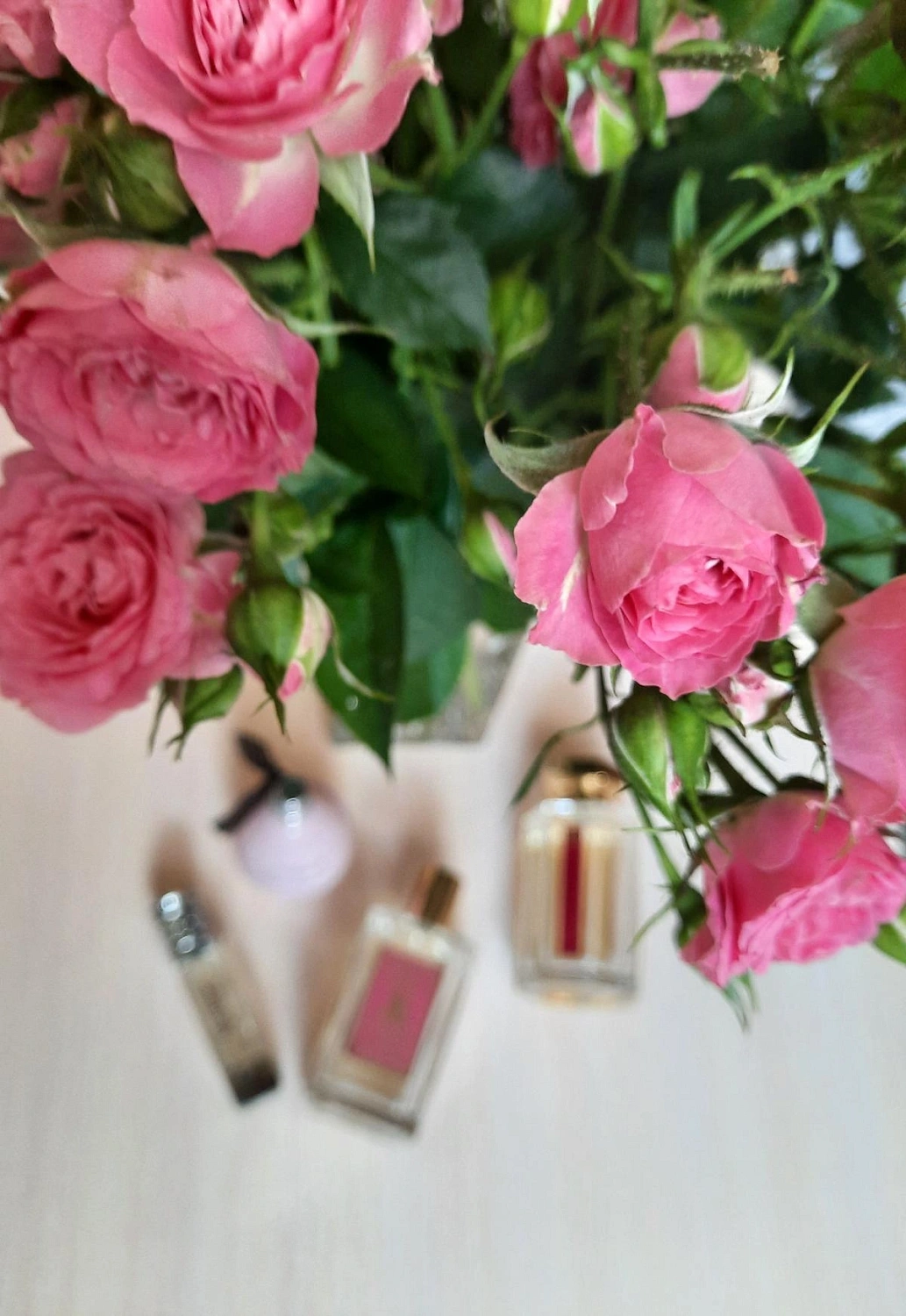 Etro ManRose