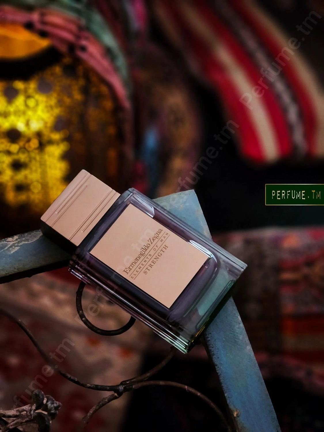 Ermenegildo Zegna Strength