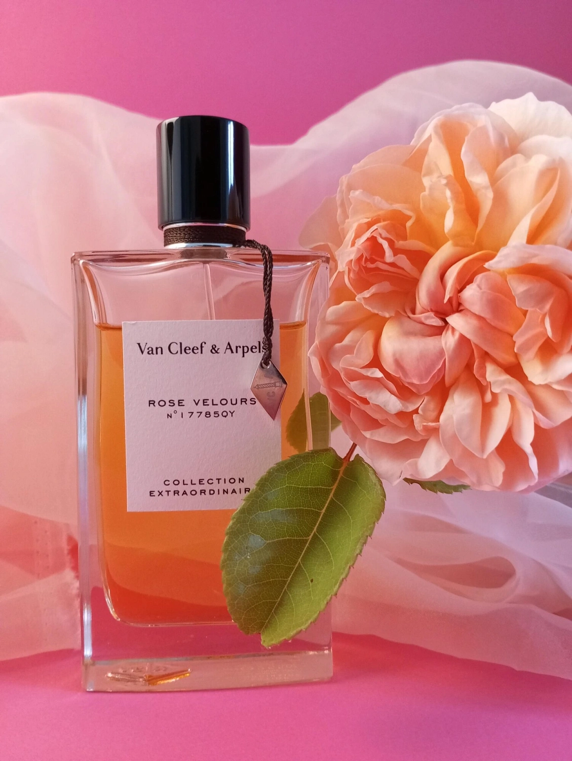 Van Cleef & Arpels Collection Extraordinaire Rose Velours