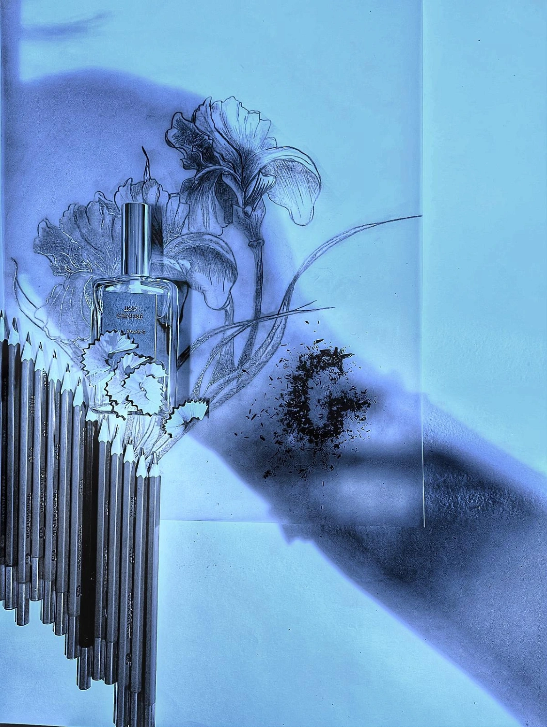 Naomi Goodsir Iris Cendre