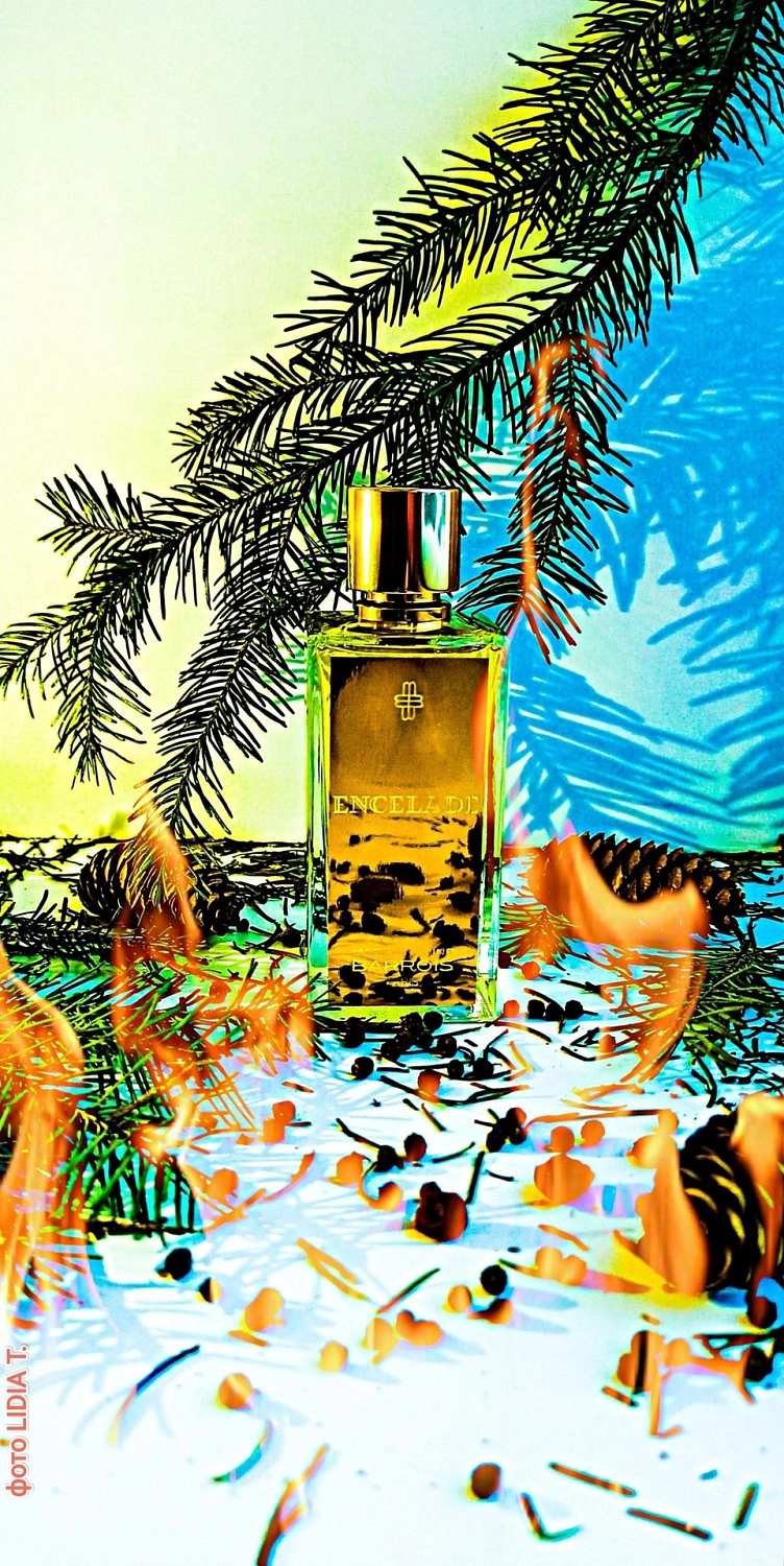 Marc-Antoine Barrois Encelade