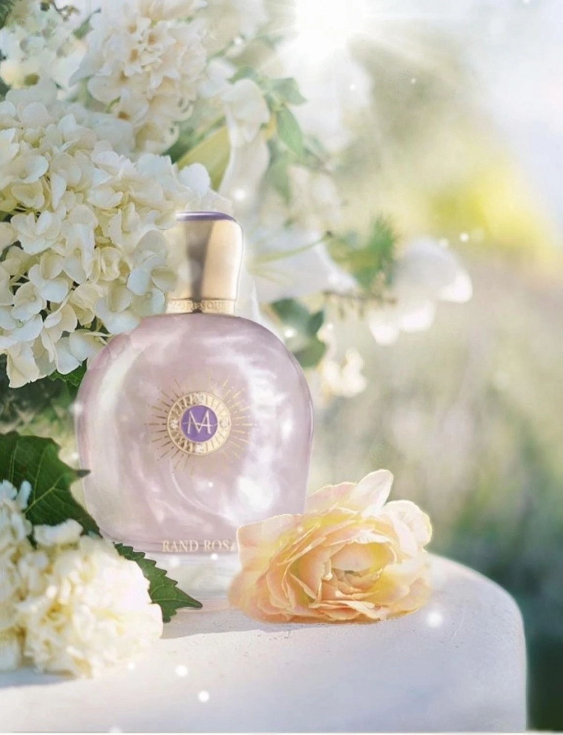 Moresque Rand Rose