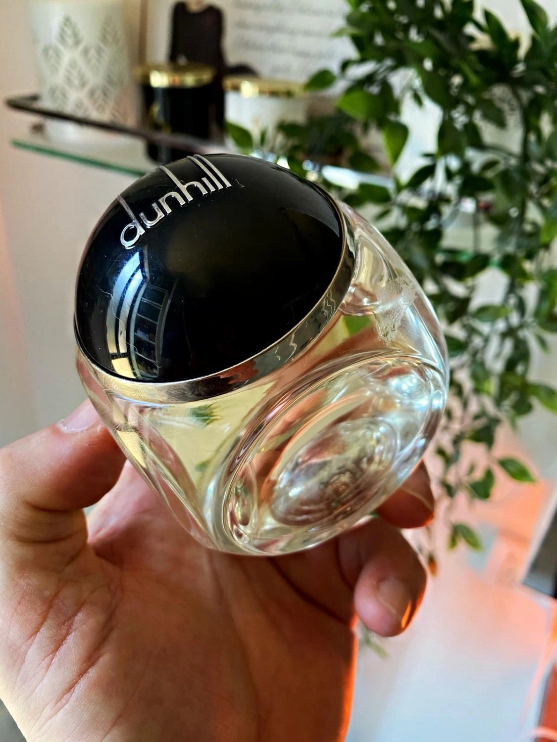 Dunhill Century