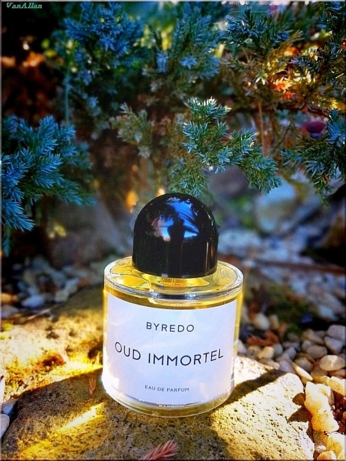 BYREDO Oud Immortel