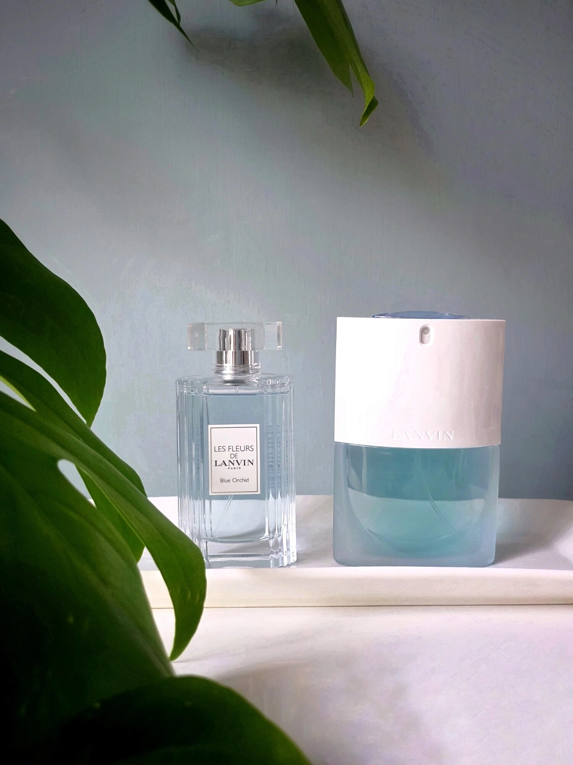 Lanvin Blue Orchid