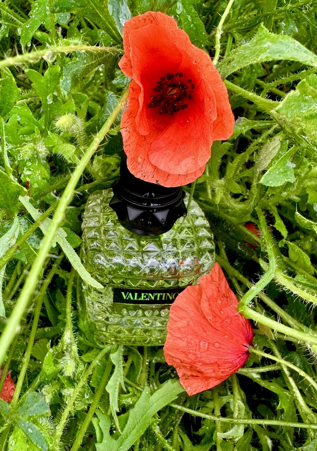 Valentino Donna Born in Roma Green Stravaganza