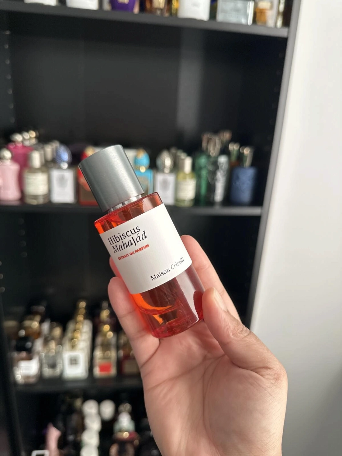 Maison Crivelli Hibiscus MahaJad