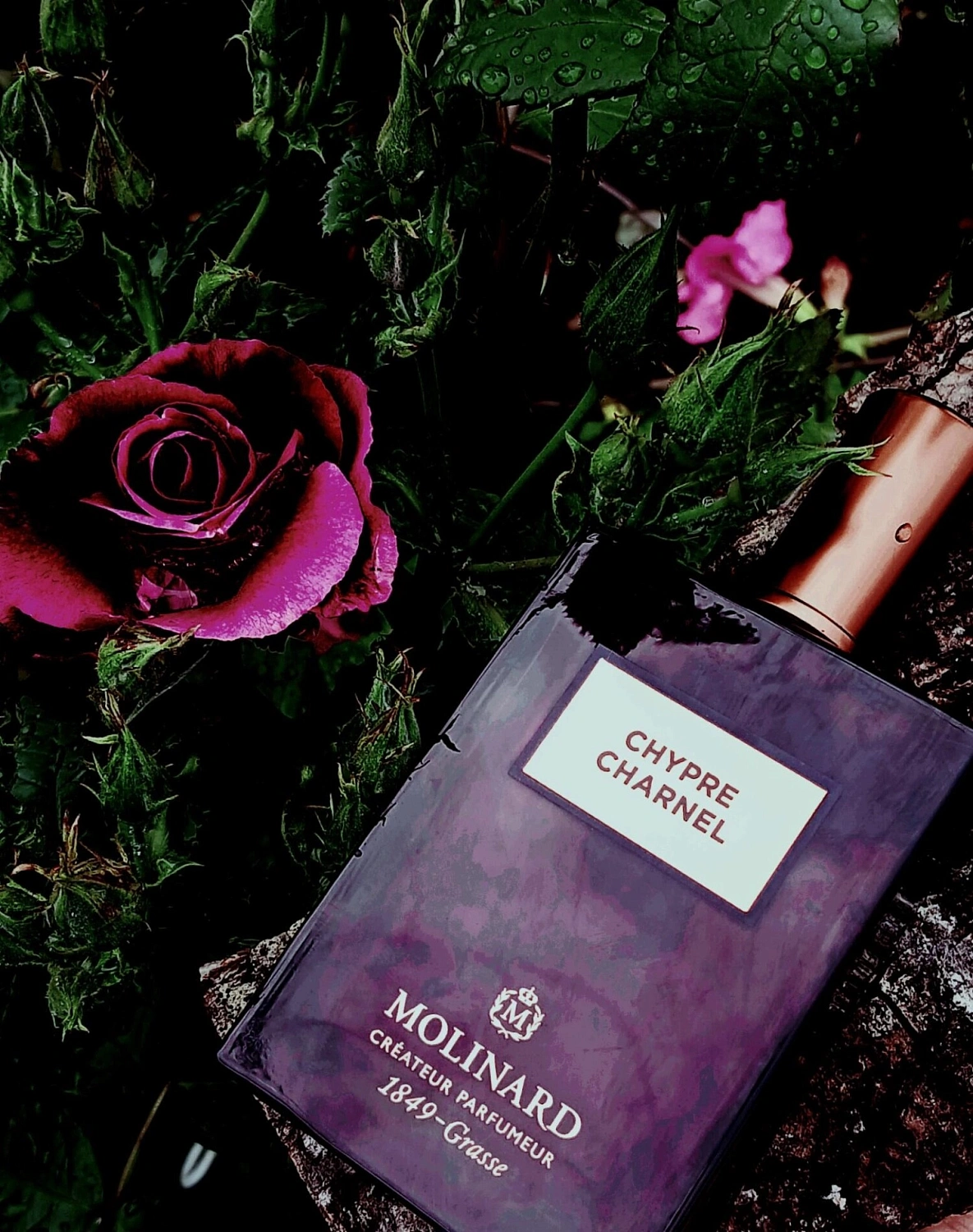 Molinard Chypre Charnel