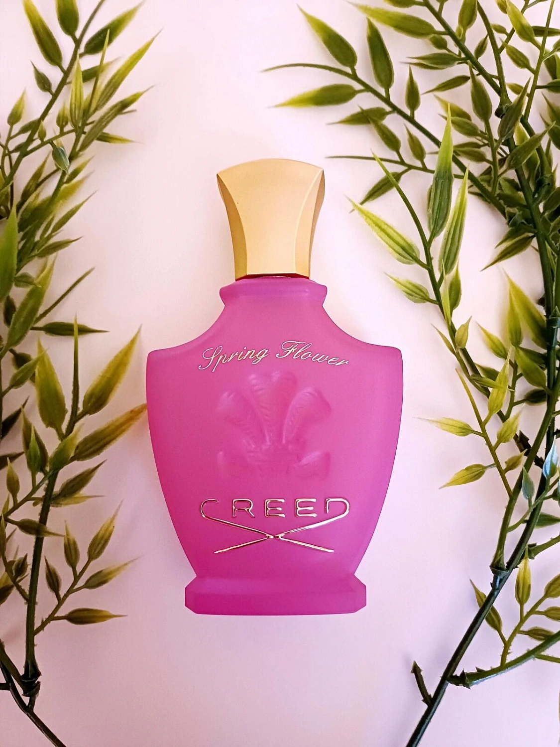 Creed Spring Flower