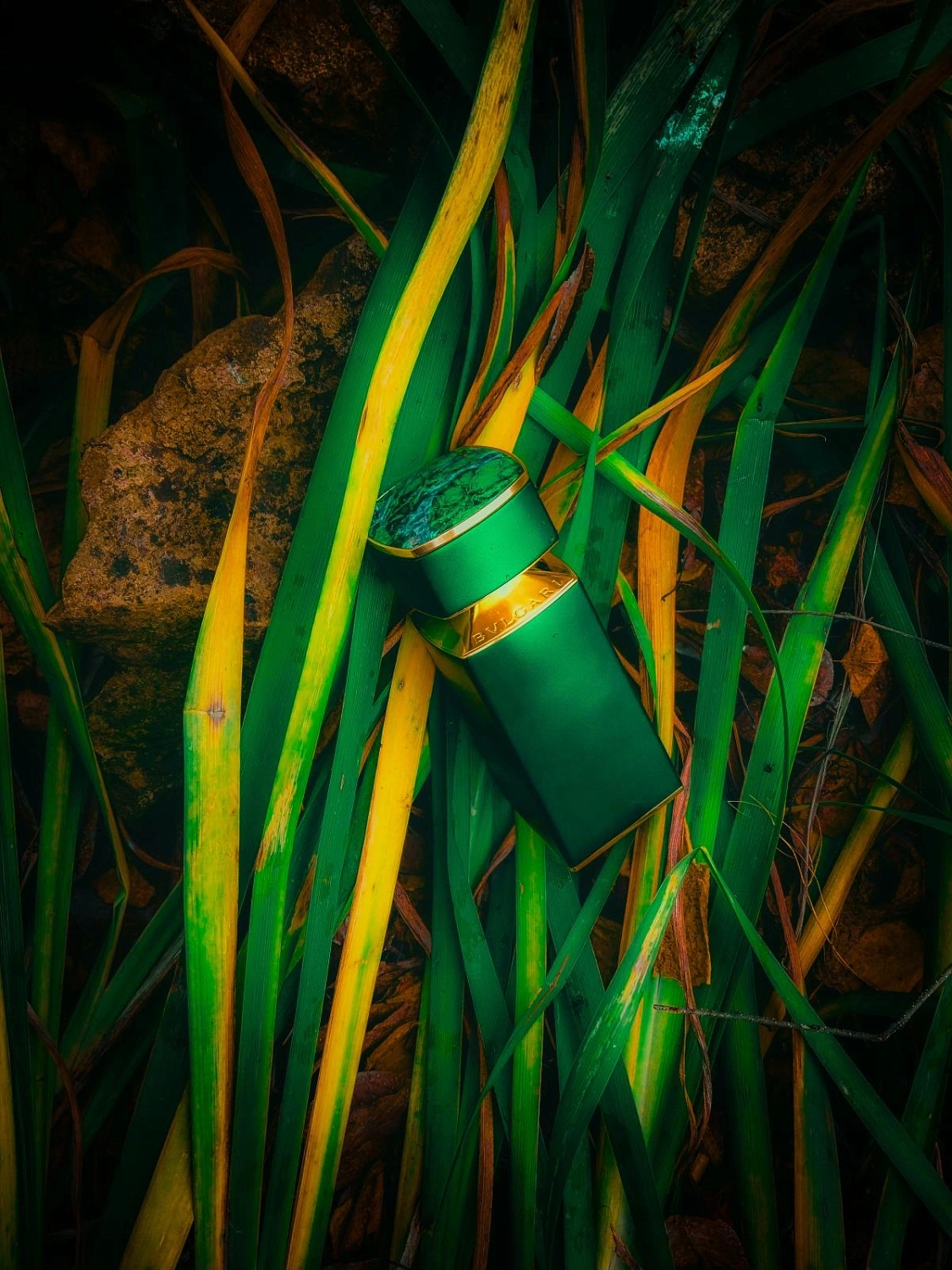 Bvlgari Kobraa