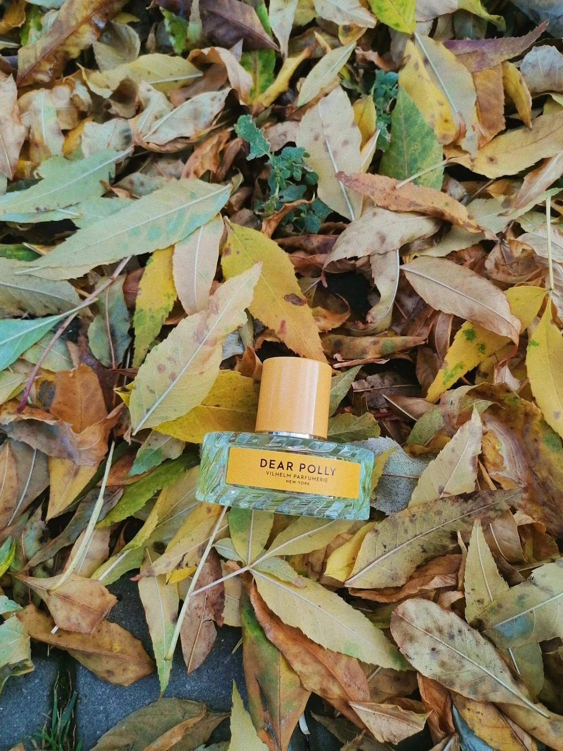 Vilhelm Parfumerie Dear Polly