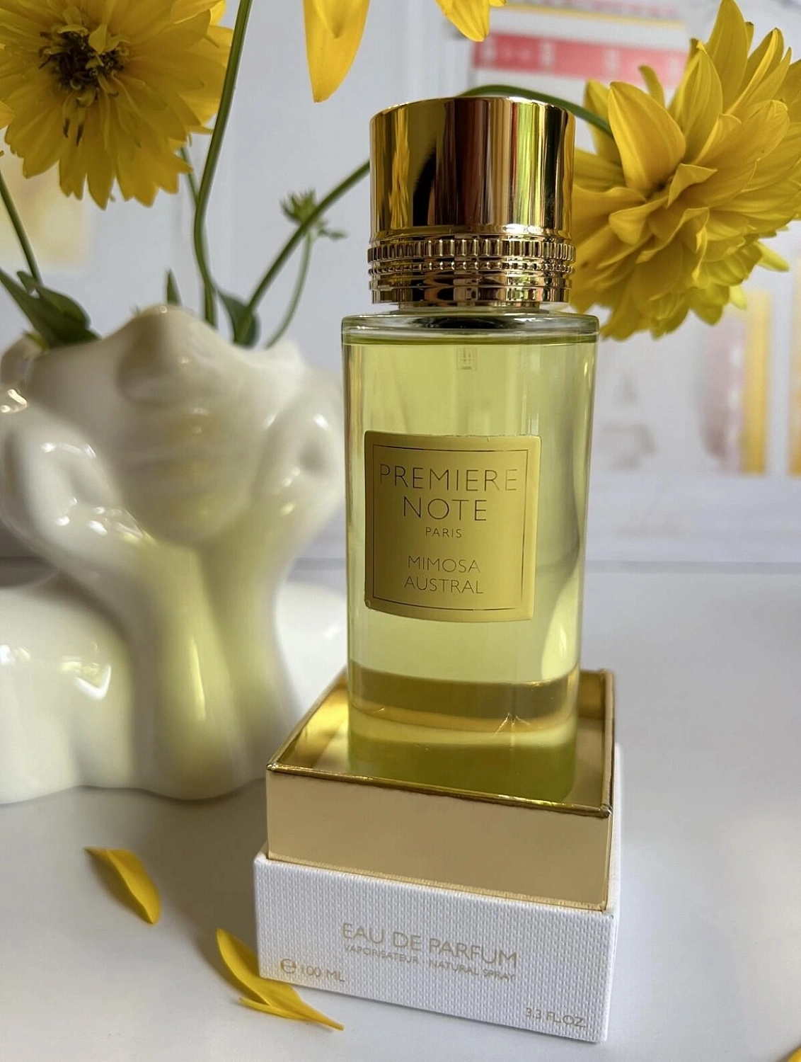 Première Note Mimosa Austral