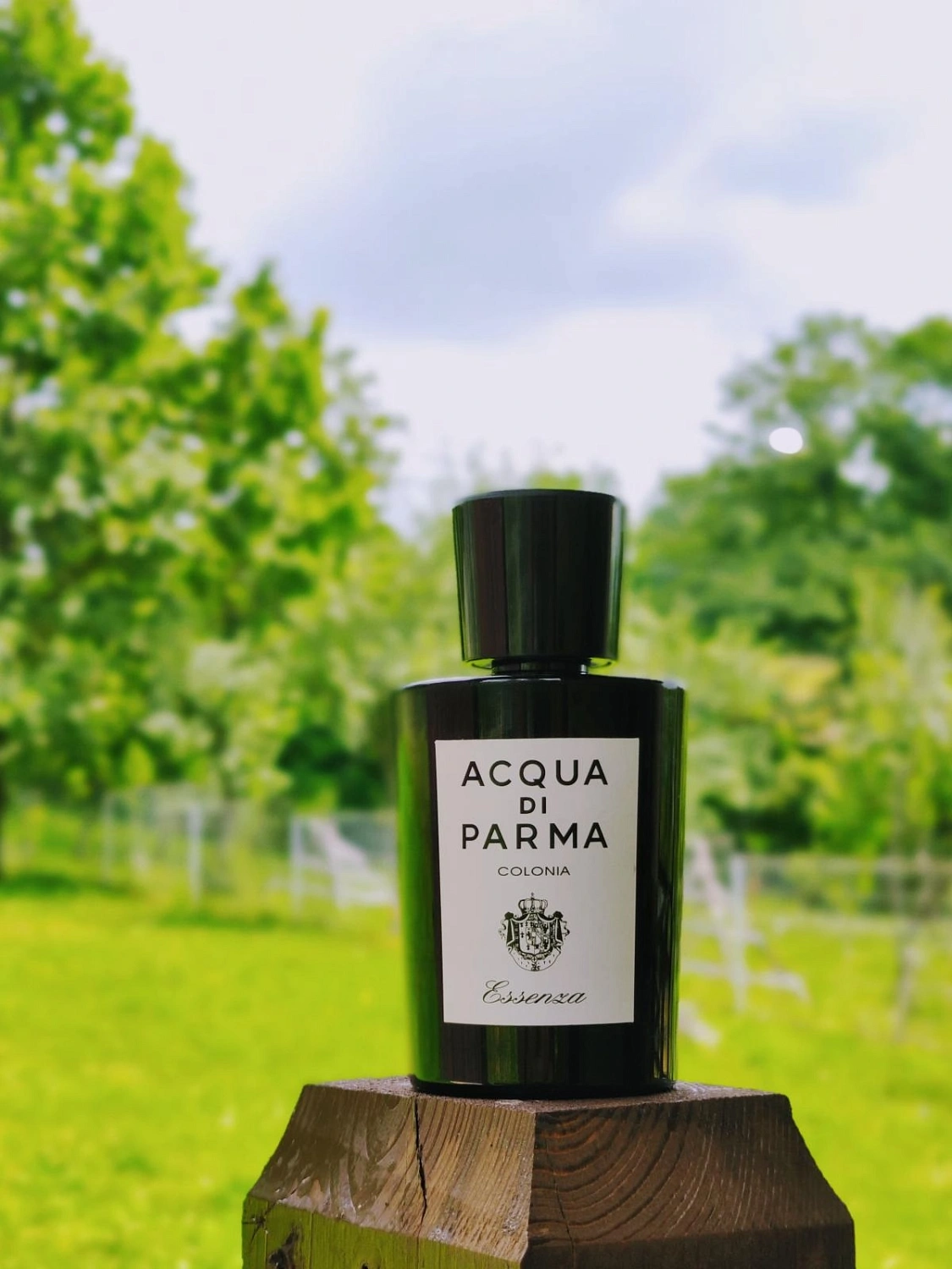 Acqua di Parma Colonia Essenza