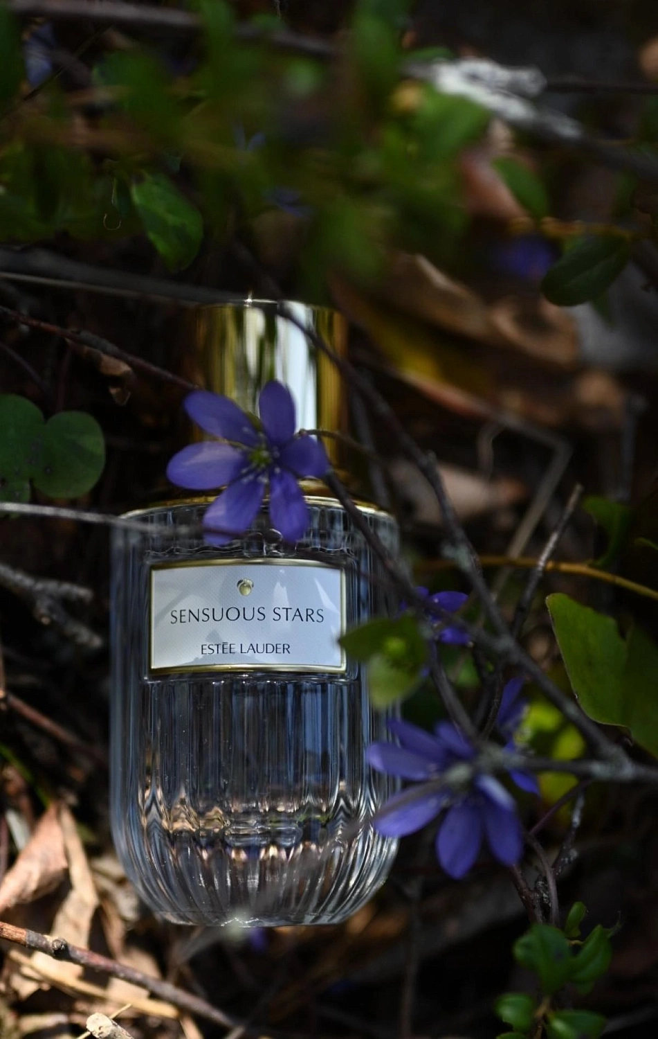 Estée Lauder Sensuous Stars