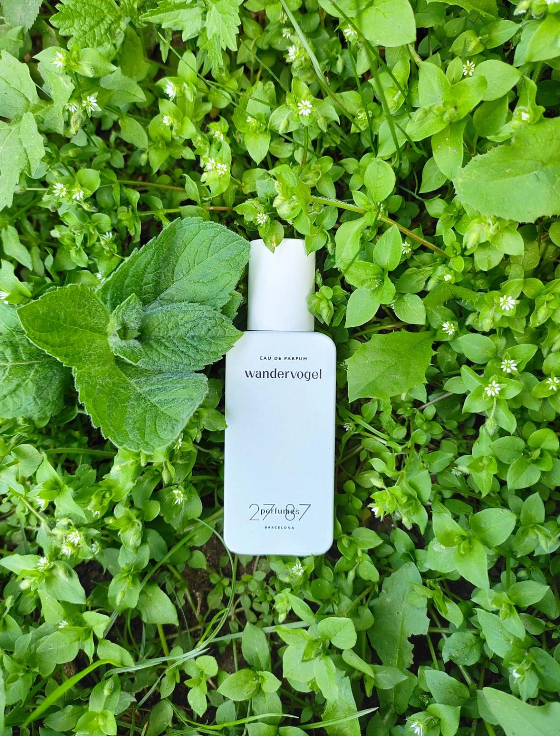 27 87 Perfumes Wandervogel