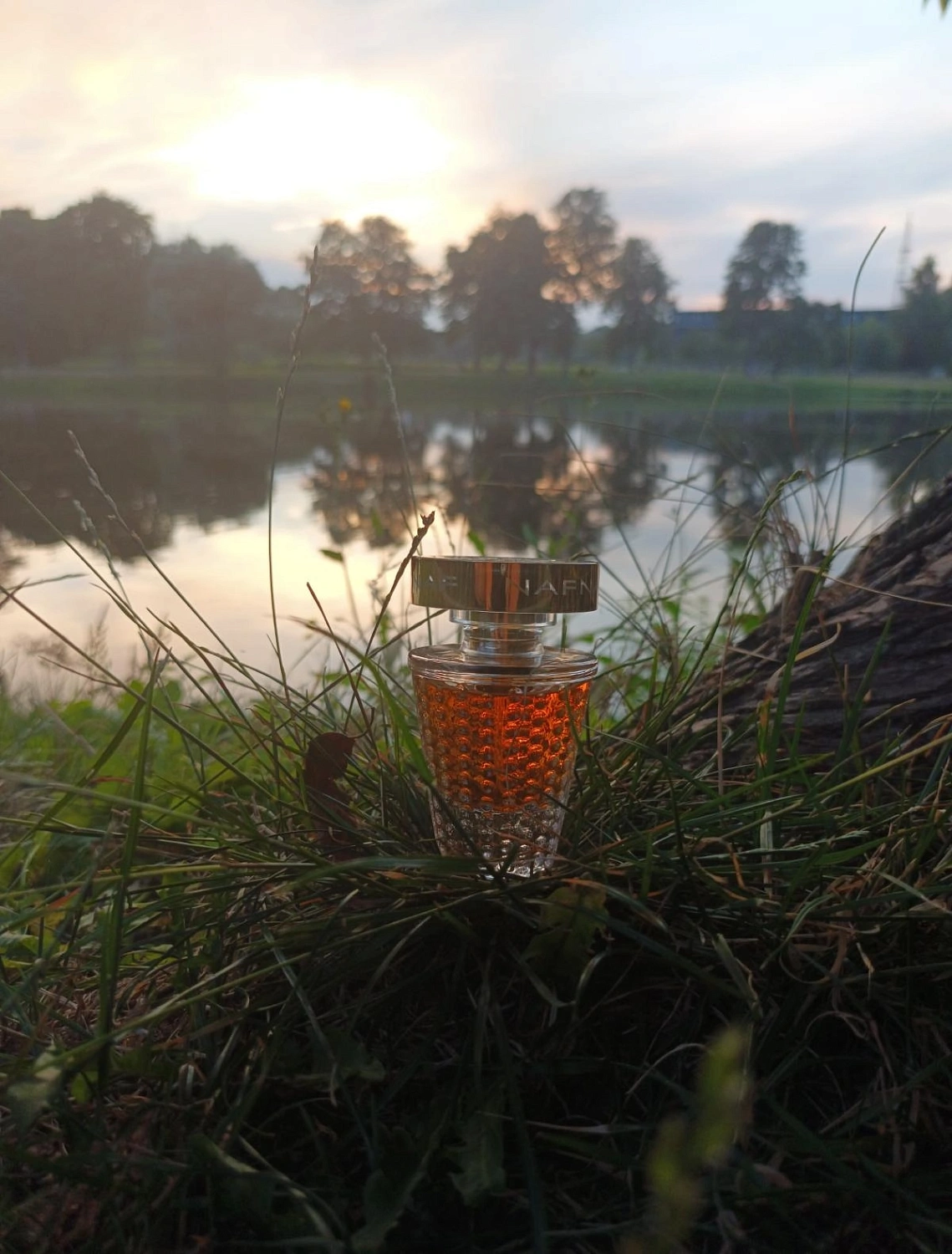 Naf Naf