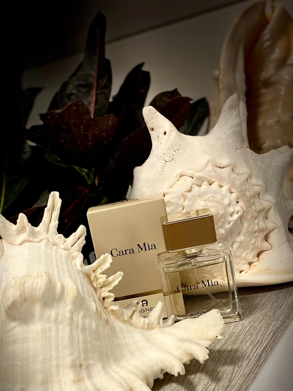 Aigner Cara Mia