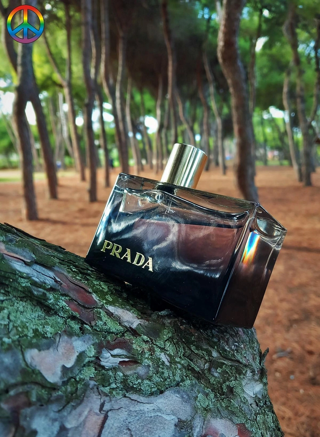 Prada L'Eau Ambree