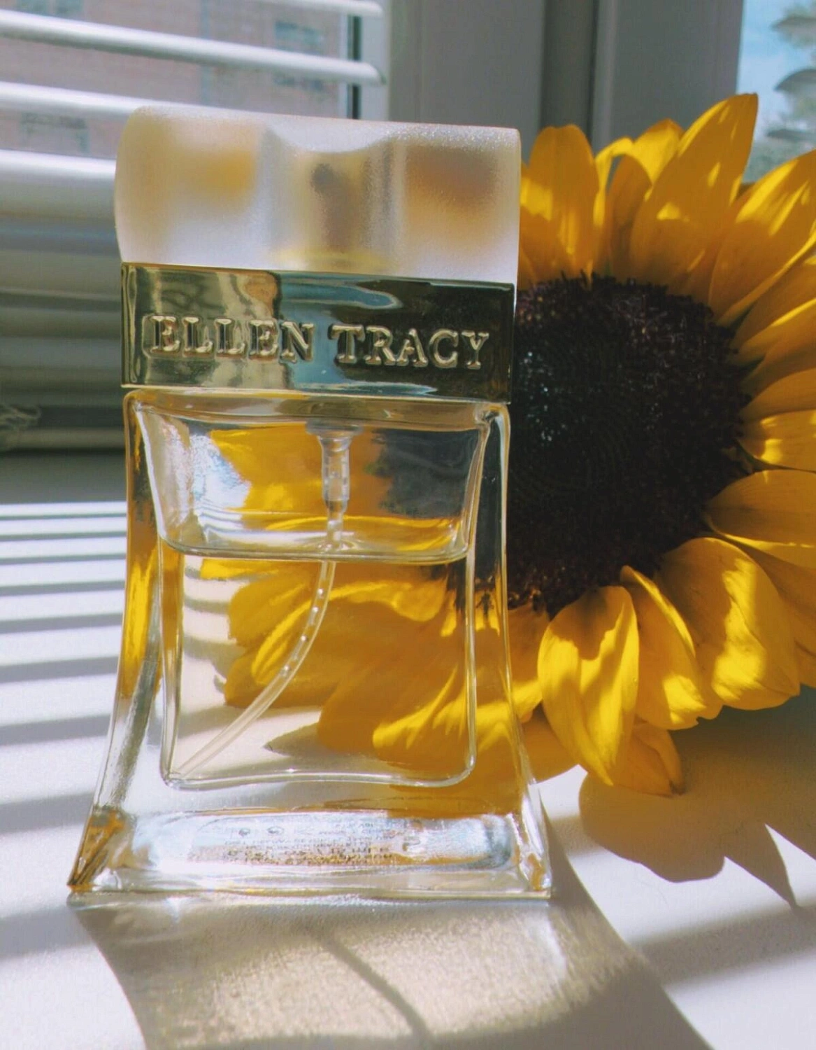 Ellen Tracy