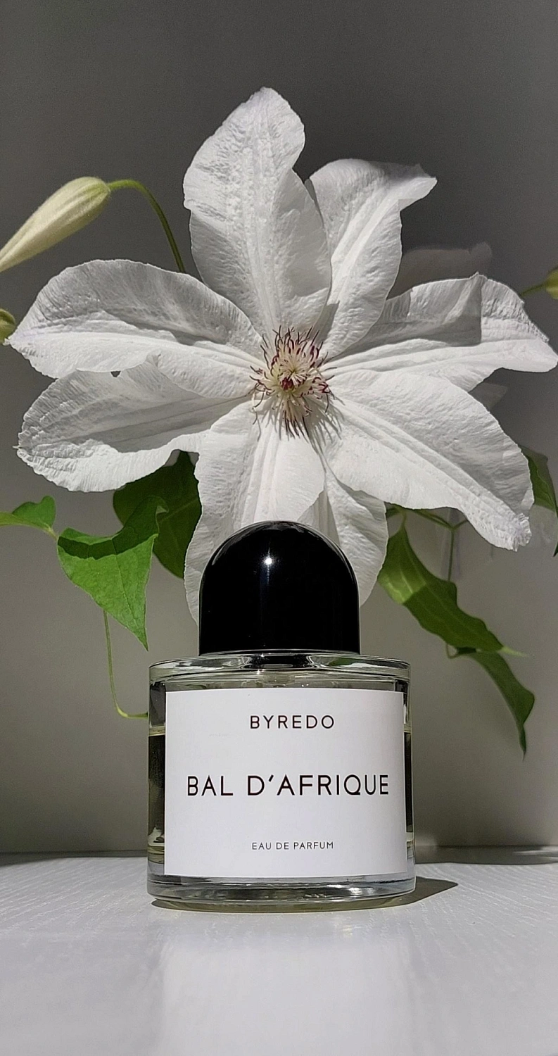 BYREDO Bal d'Afrique