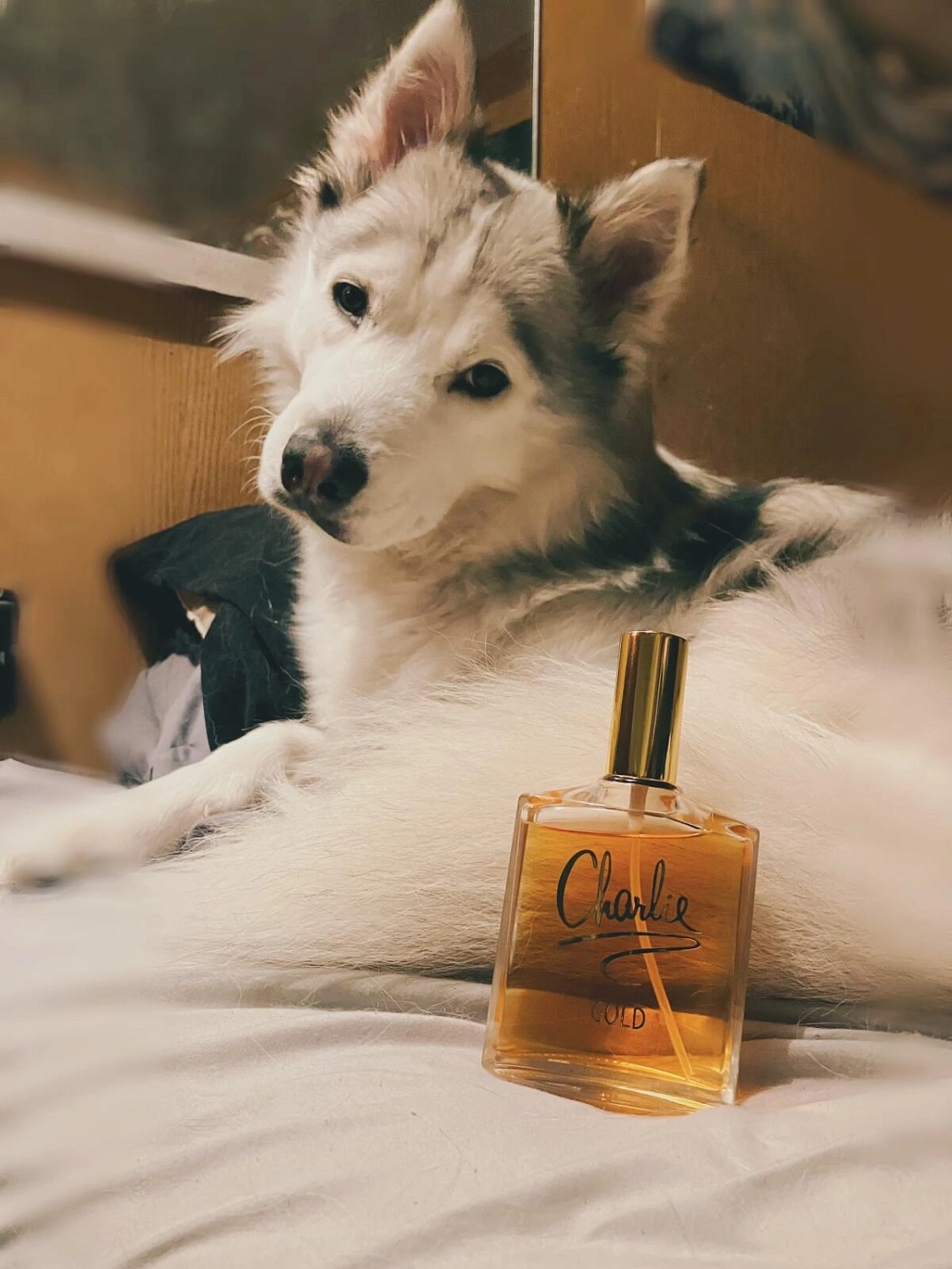 Revlon Charlie Gold
