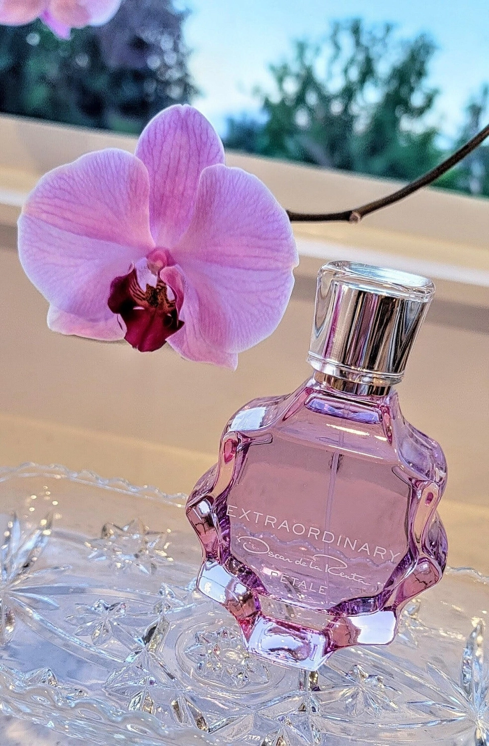 Oscar de la Renta Extraordinary Petale