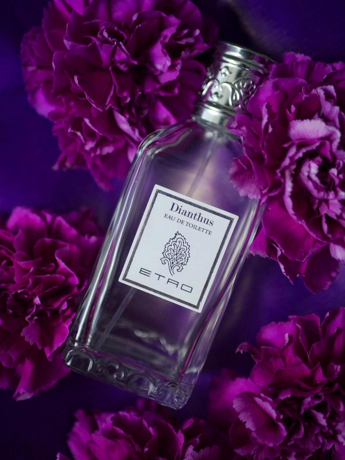Etro Dianthus