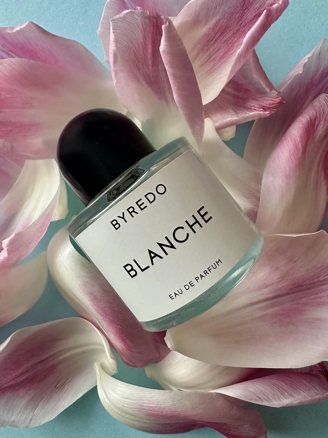 BYREDO Blanche