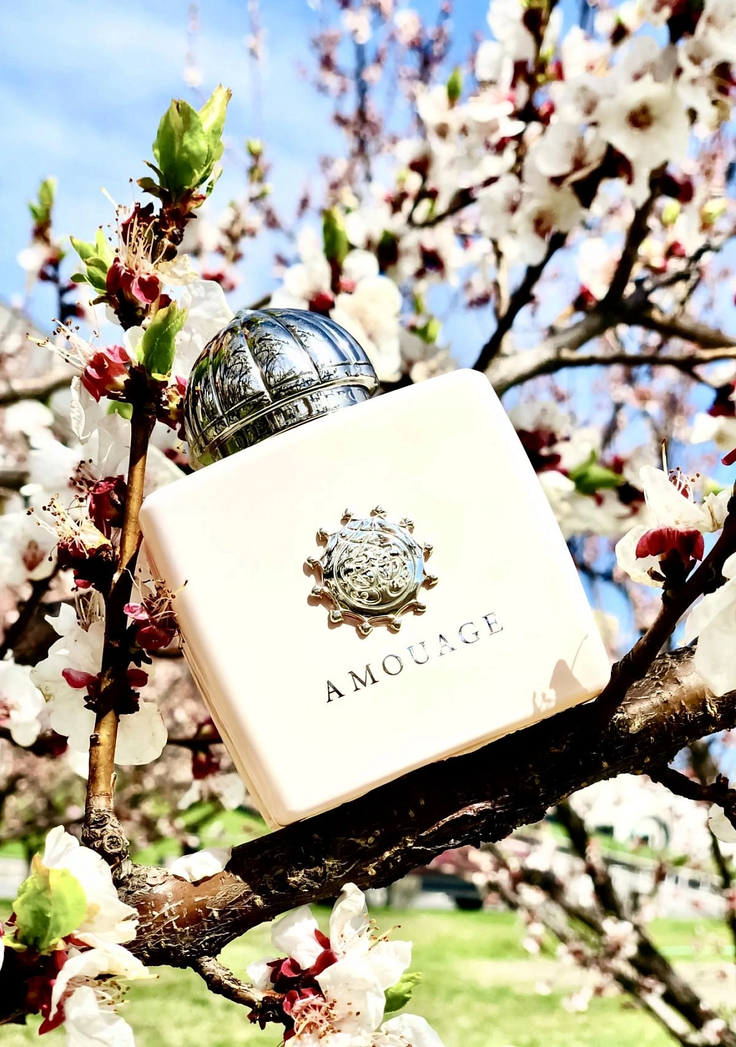 Amouage Love Tuberose