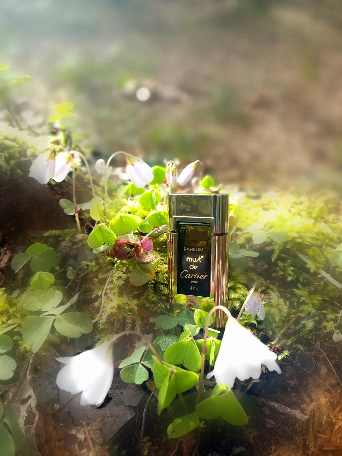 Must de Cartier