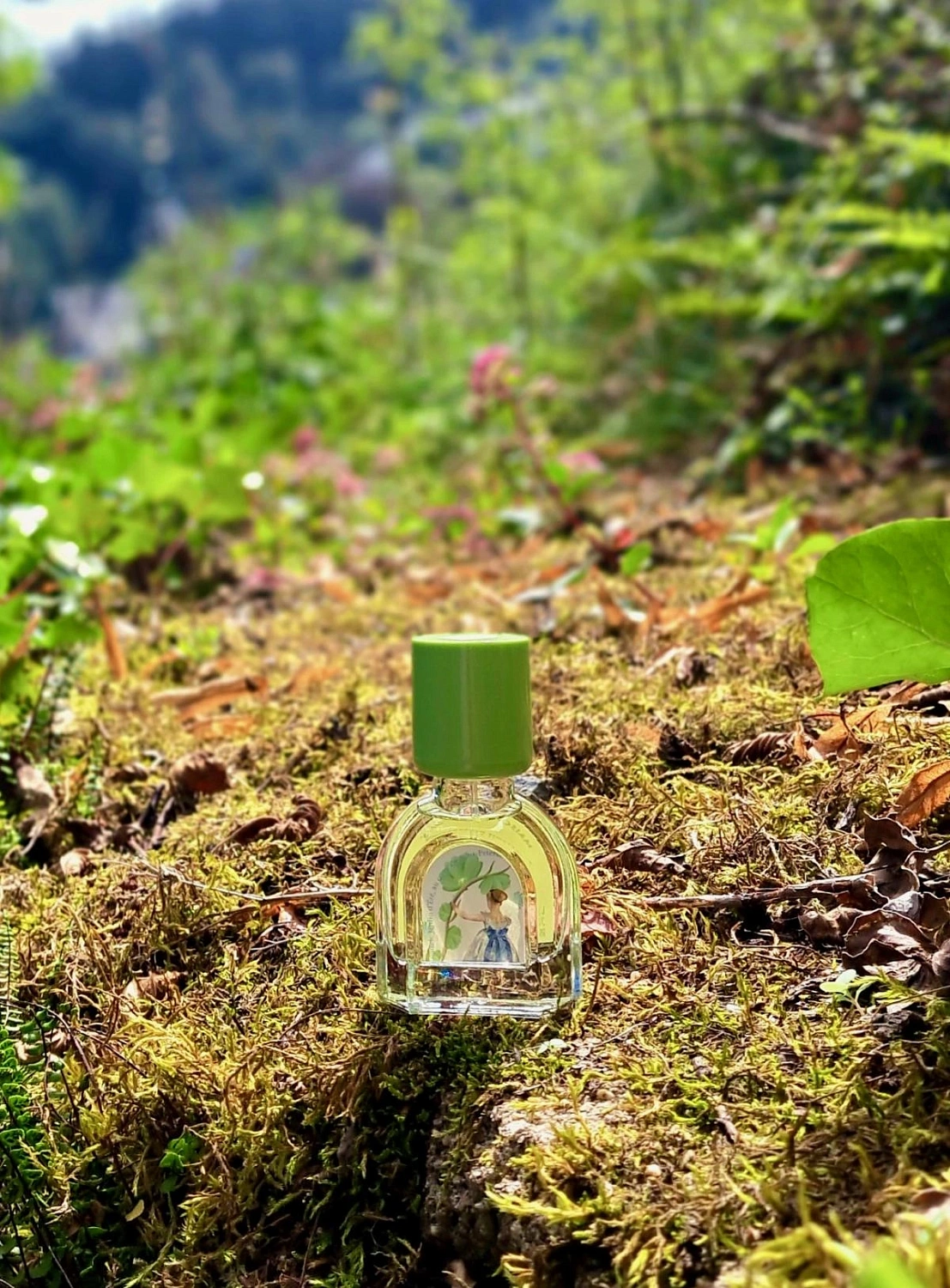 Le Jardin Retrouvé Verveine D'Ete