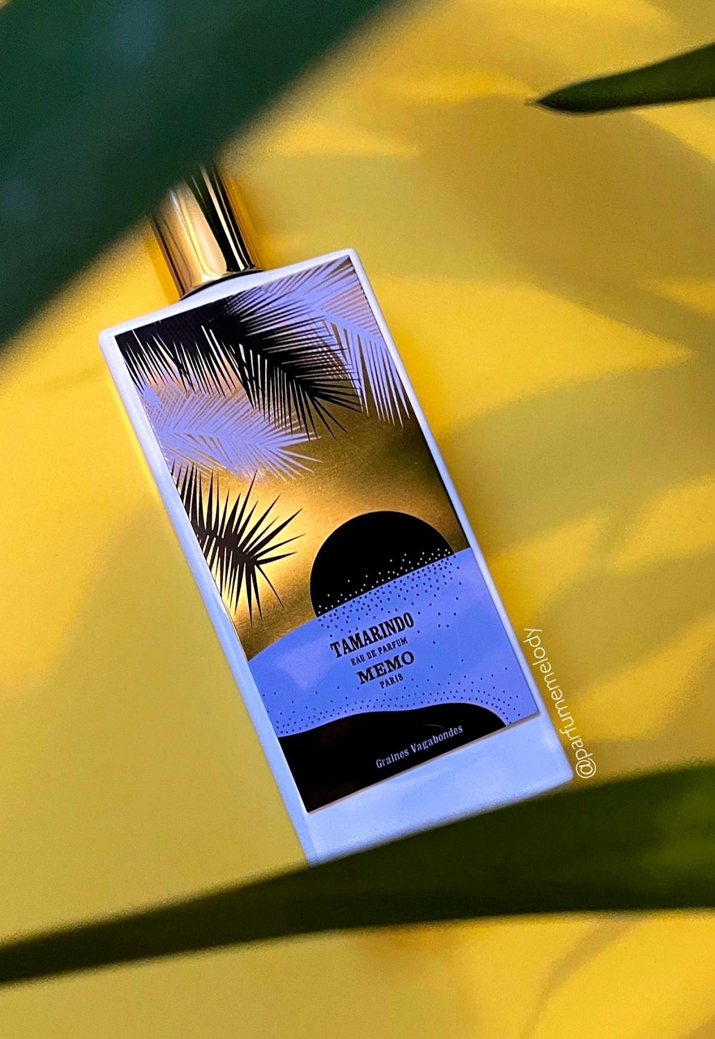 Memo Tamarindo