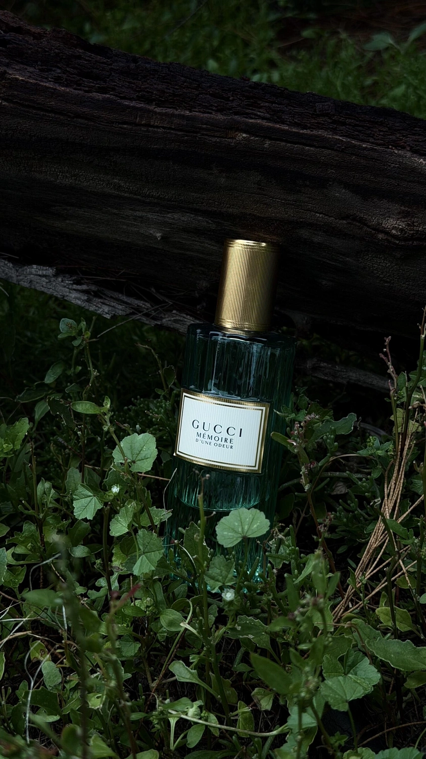 Gucci Memoire d'une Odeur