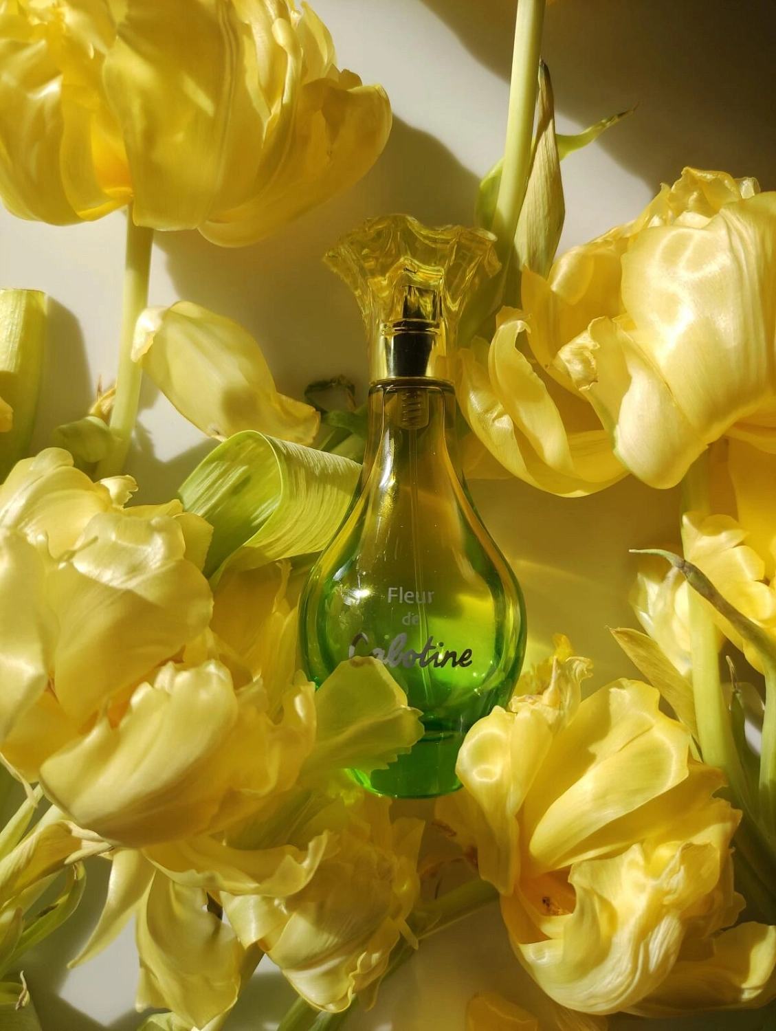 Grès Fleur De Cabotine