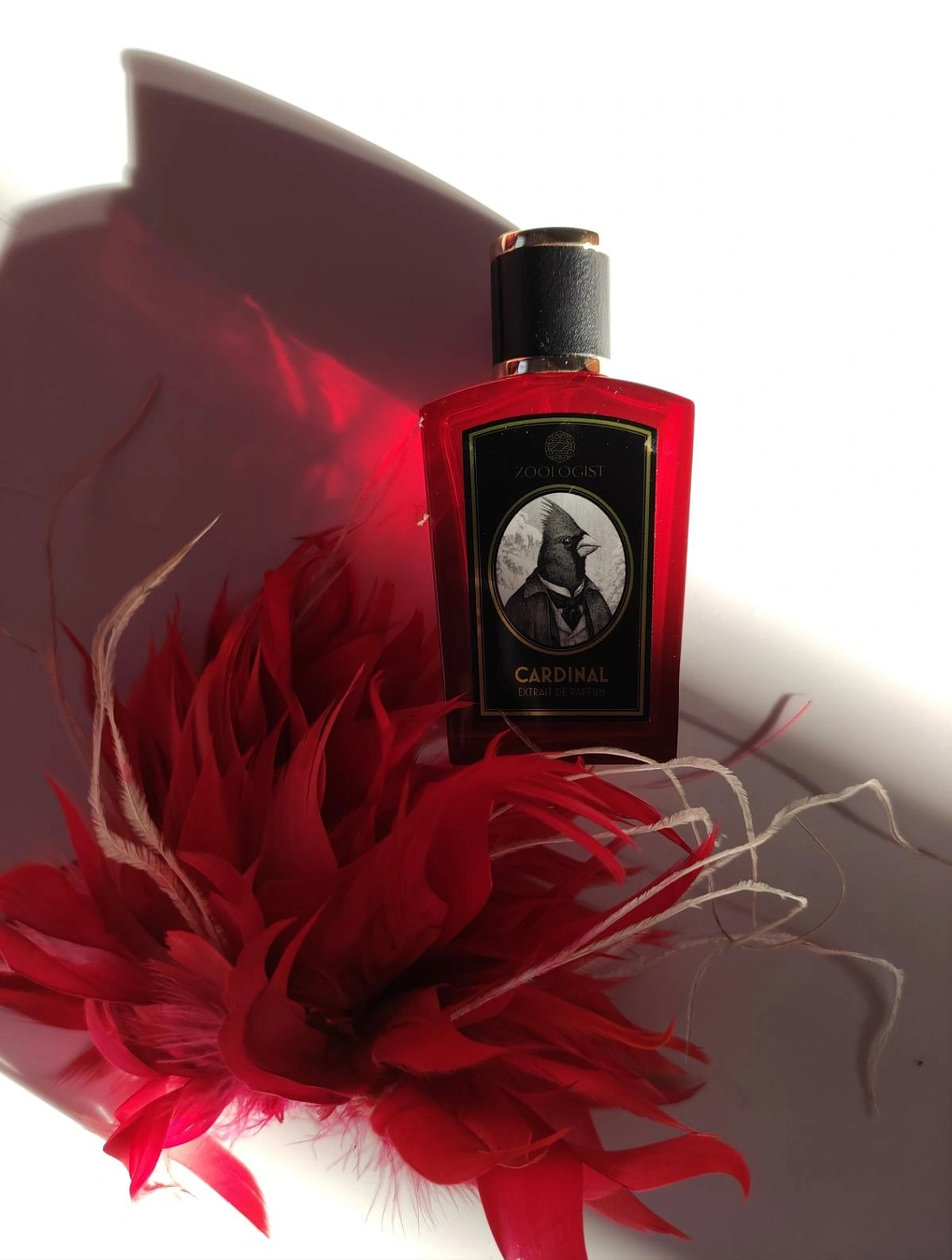 Zoologist Perfumes Cardinal