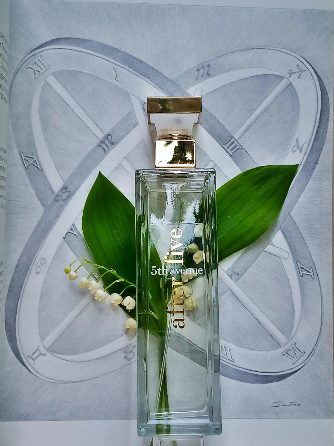 Elizabeth Arden 5th Avenue After Five