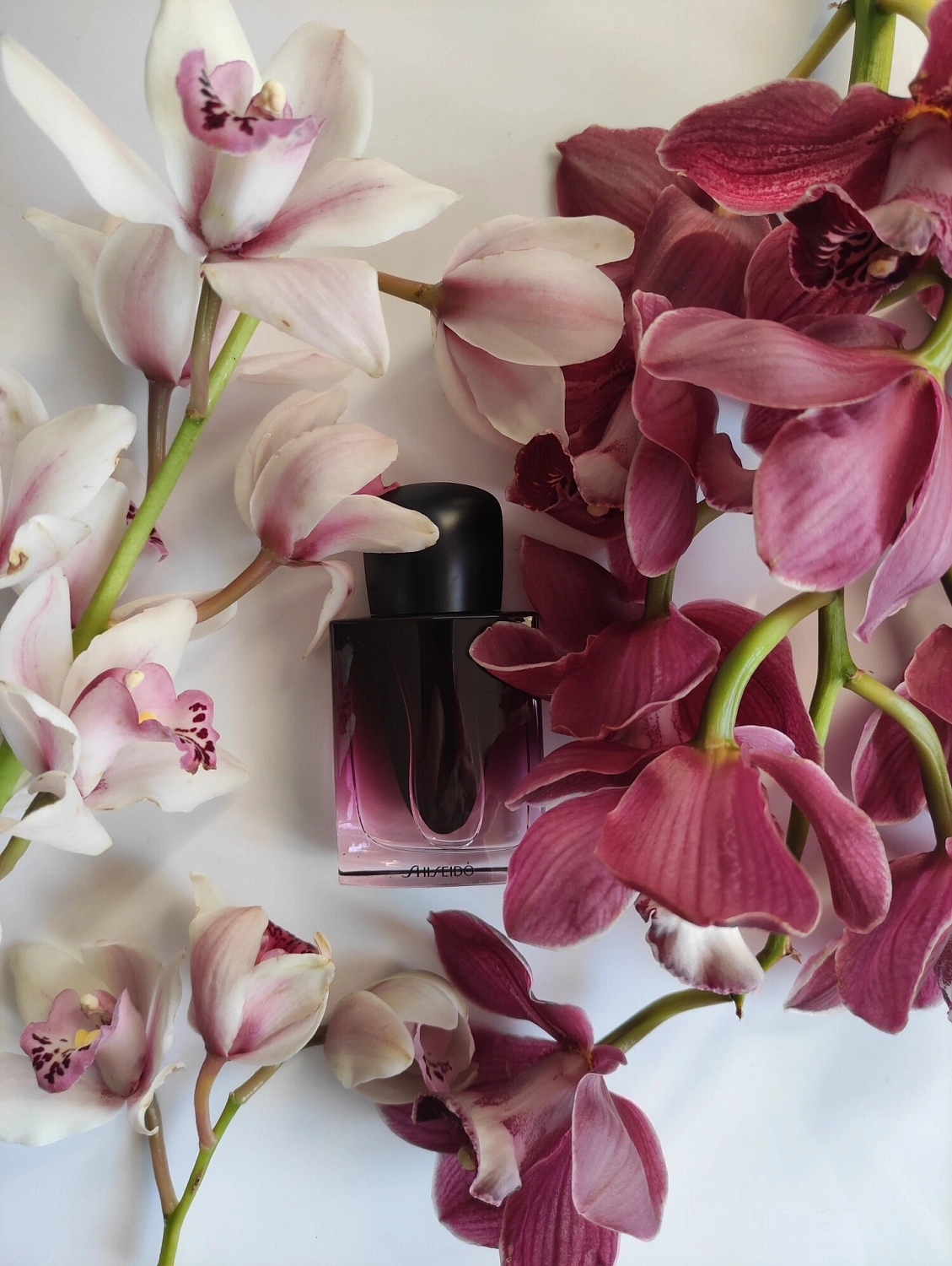Shiseido Ginza Datura
