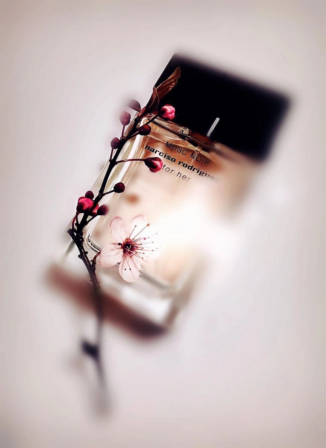 Narciso Rodriguez Musc Noir For Her
