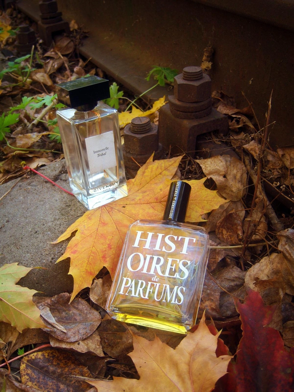 Givenchy Immortelle Tribal