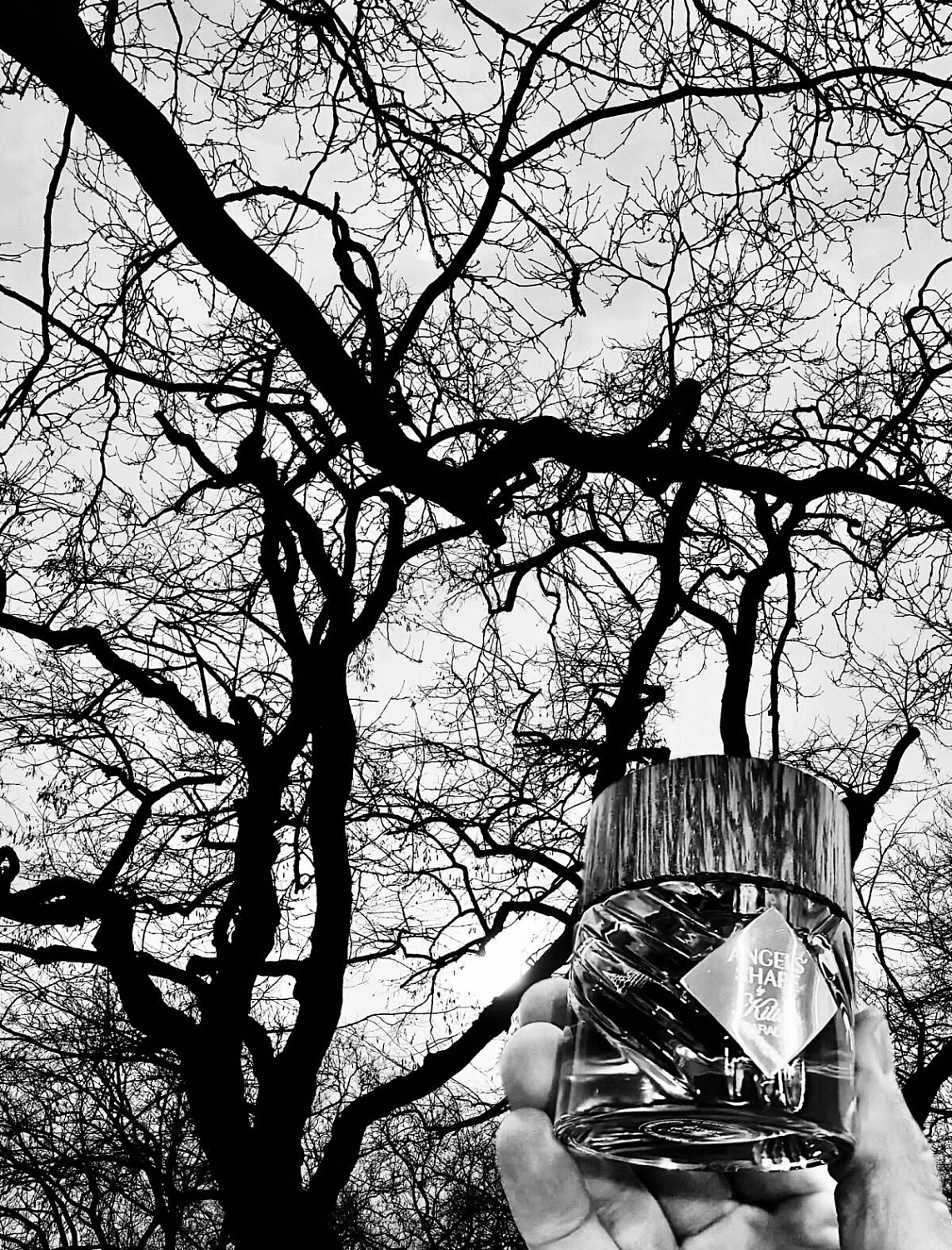 By Kilian Angels' Share Paradis